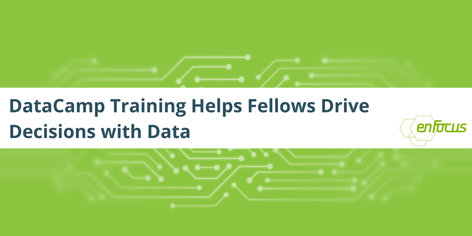 DataCamp Training Helps Fellows Drive Decisions with Data